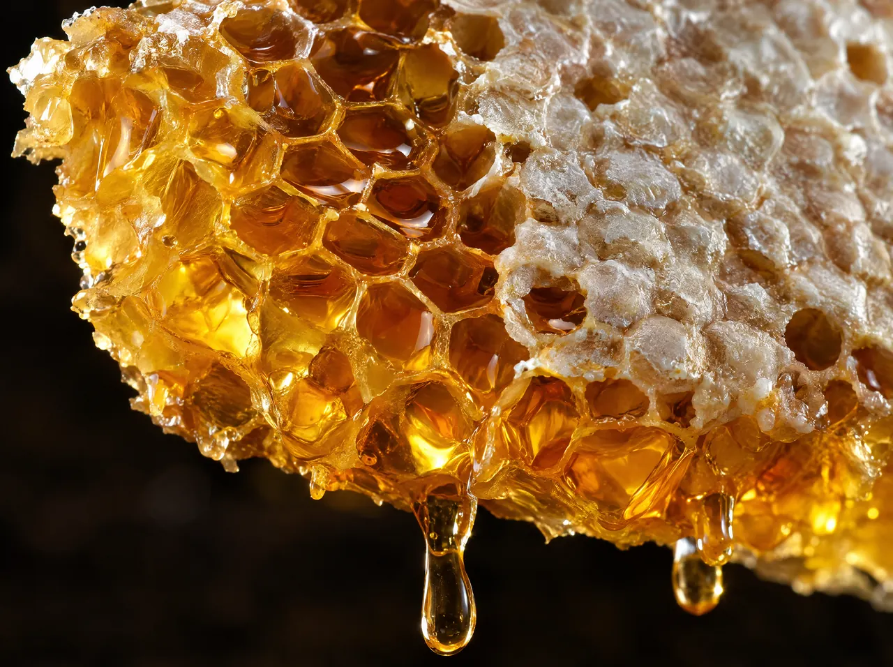 Honeycomb dripping with golden honey